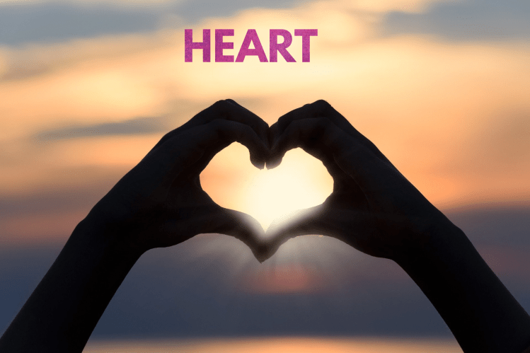 Heart