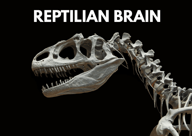 Reptilian Brain